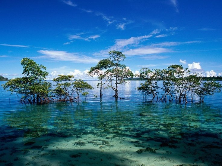 Andaman Island Holidays
