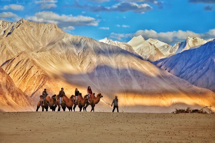 High-Altitude Ladakh Journey